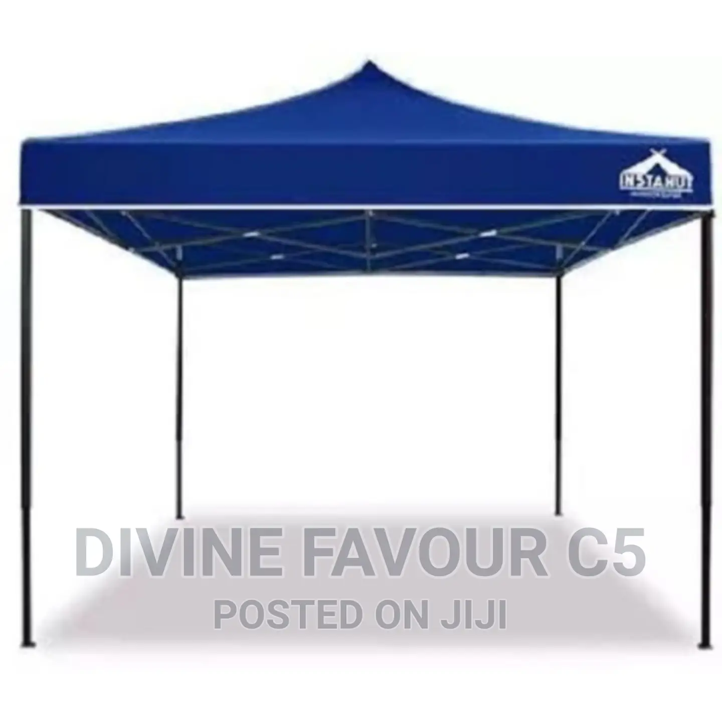 Foldable/ Pop Up Canopy/ Gazebo 10 X 10