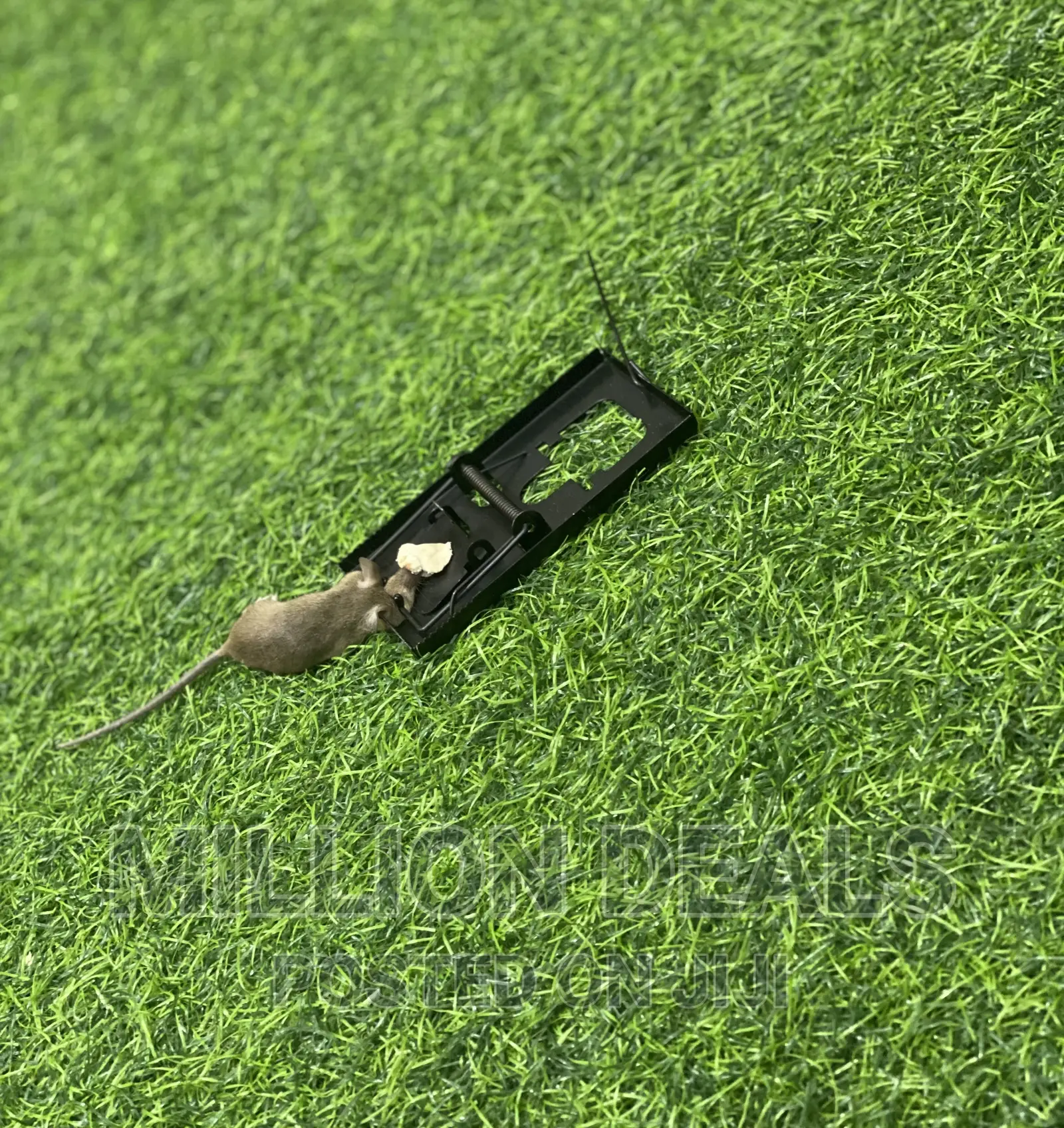 Black Steel Mini Reusable Rat Mouse Trap