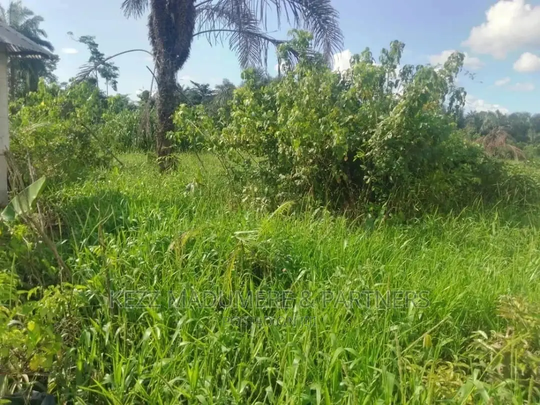 For Sale Land at 3D Bus Iwofe Road