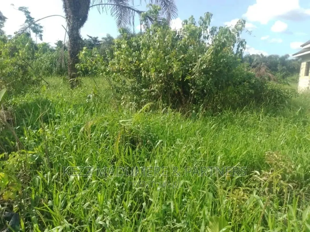 For Sale Land at 3D Bus Iwofe Road
