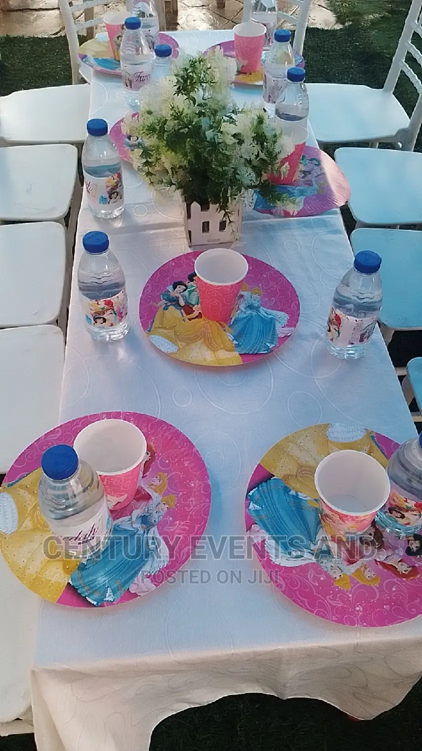 Birthday Party Decorator