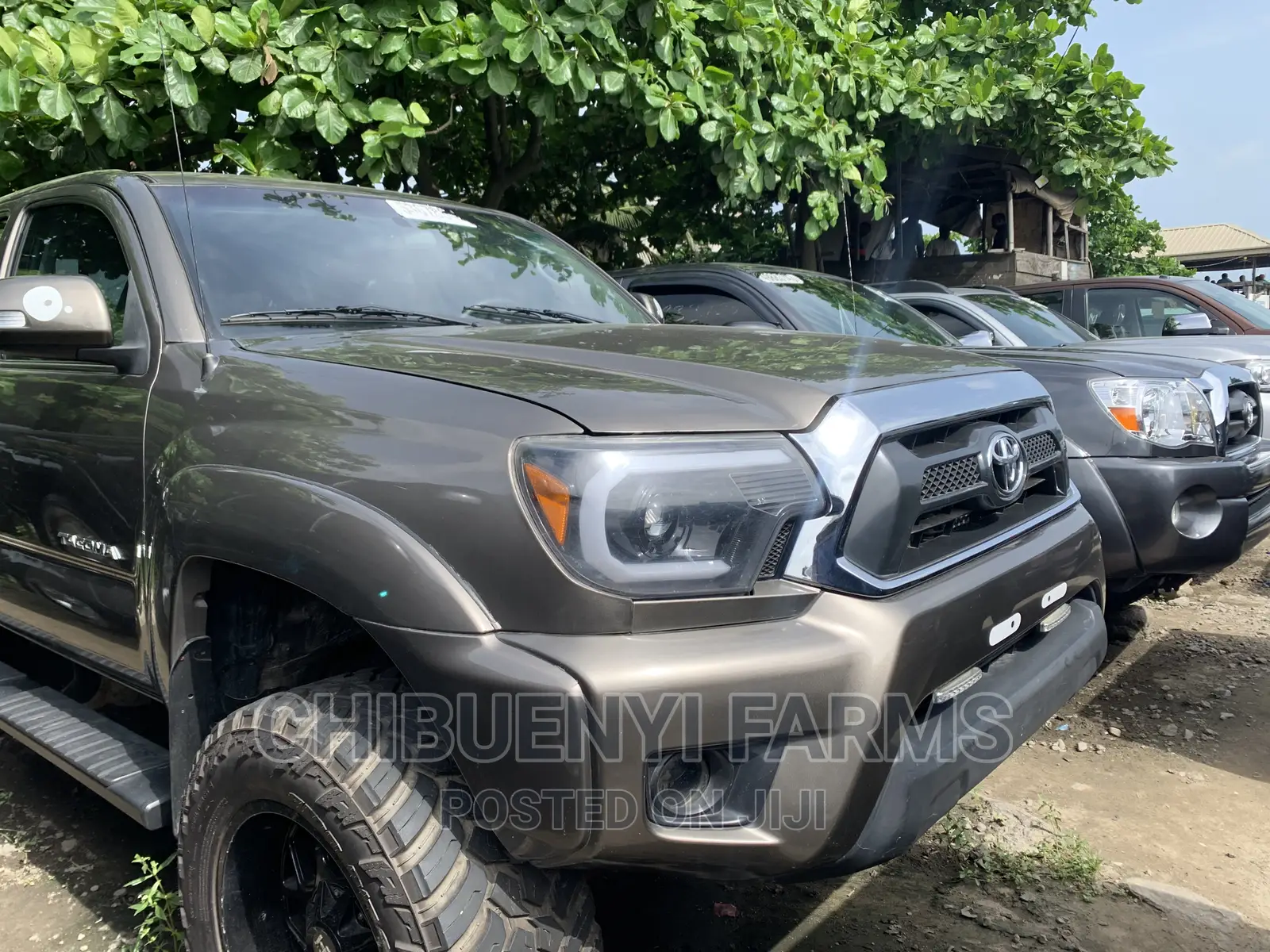 Toyota Tacoma 2015 Burgundy