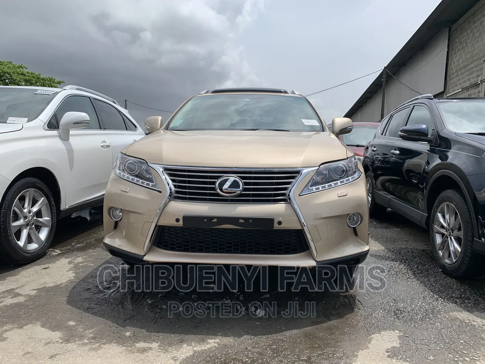 Lexus RX 350 AWD 2012 Gold