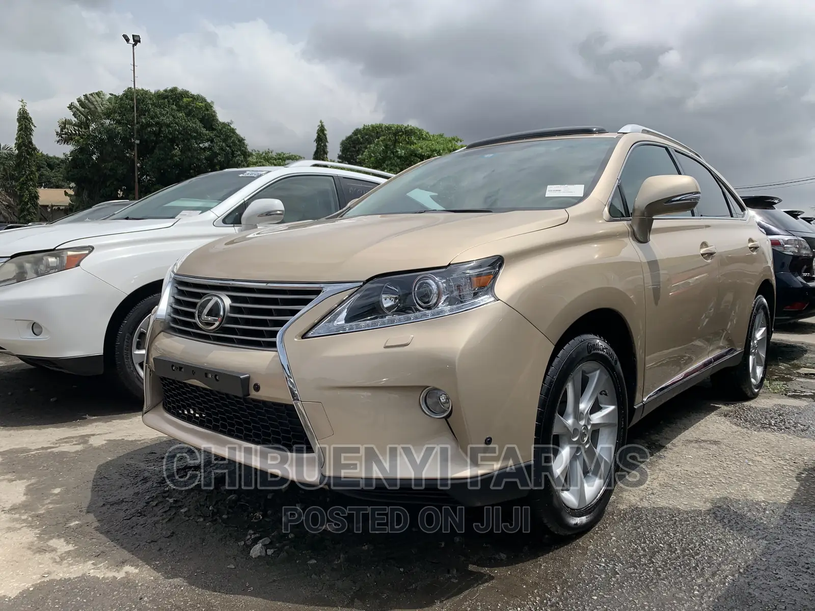 Lexus RX 350 AWD 2012 Gold