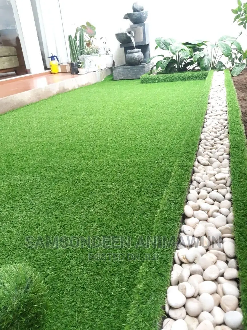 Turkish Carpet Grass