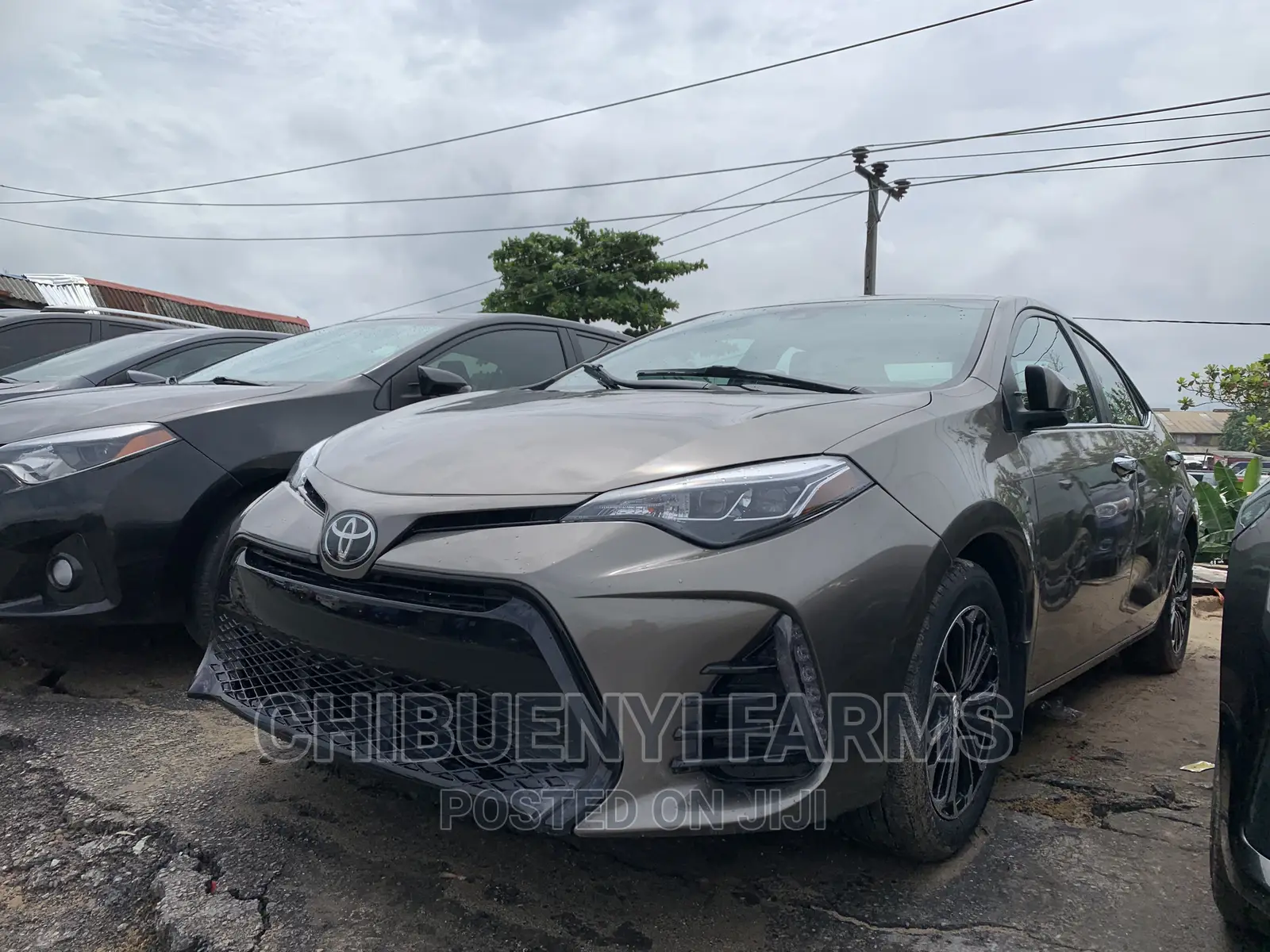 Toyota Corolla SE (1.8L 4cyl 6M) 2019 Brown
