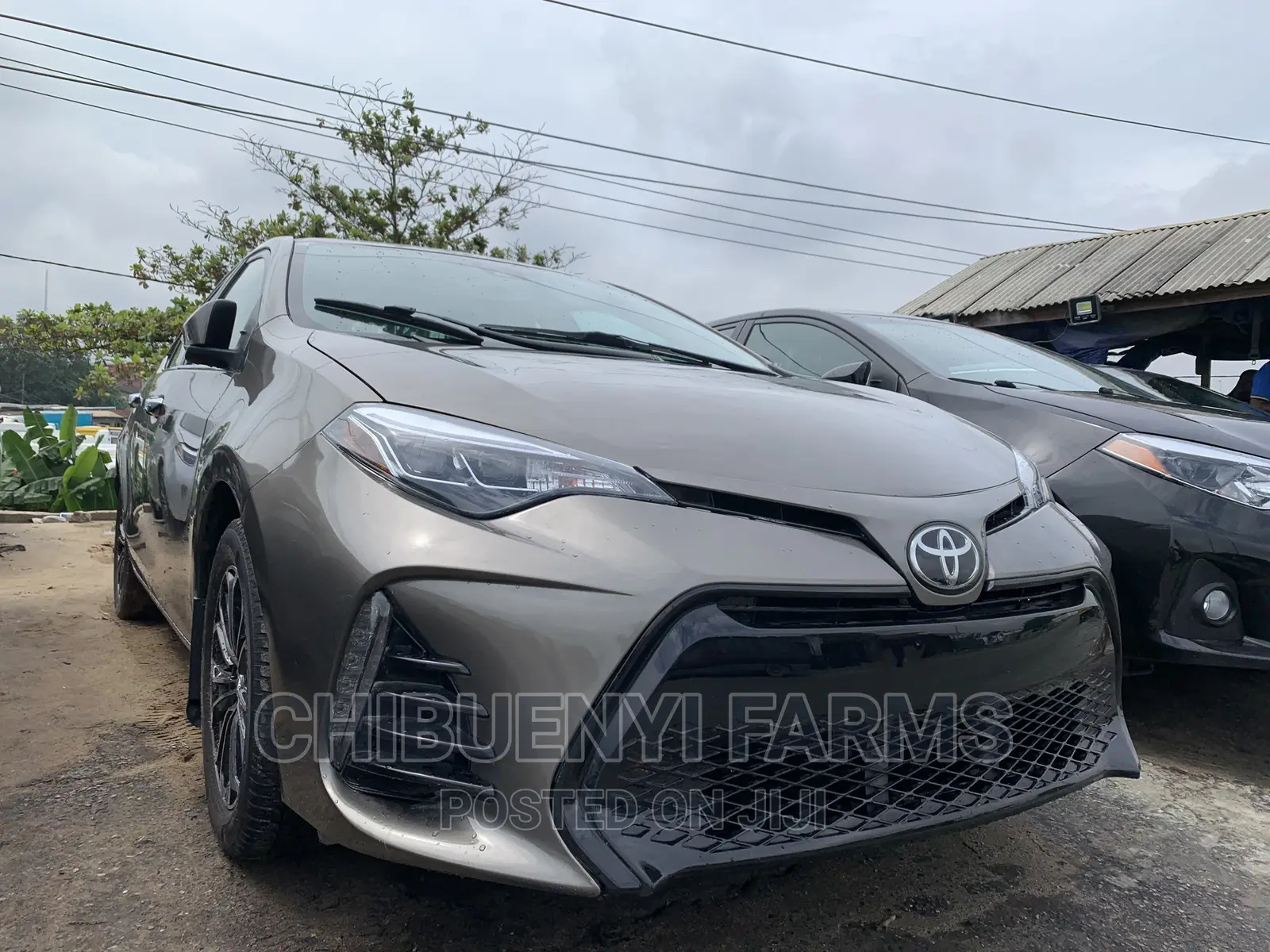 Toyota Corolla SE (1.8L 4cyl 6M) 2019 Brown