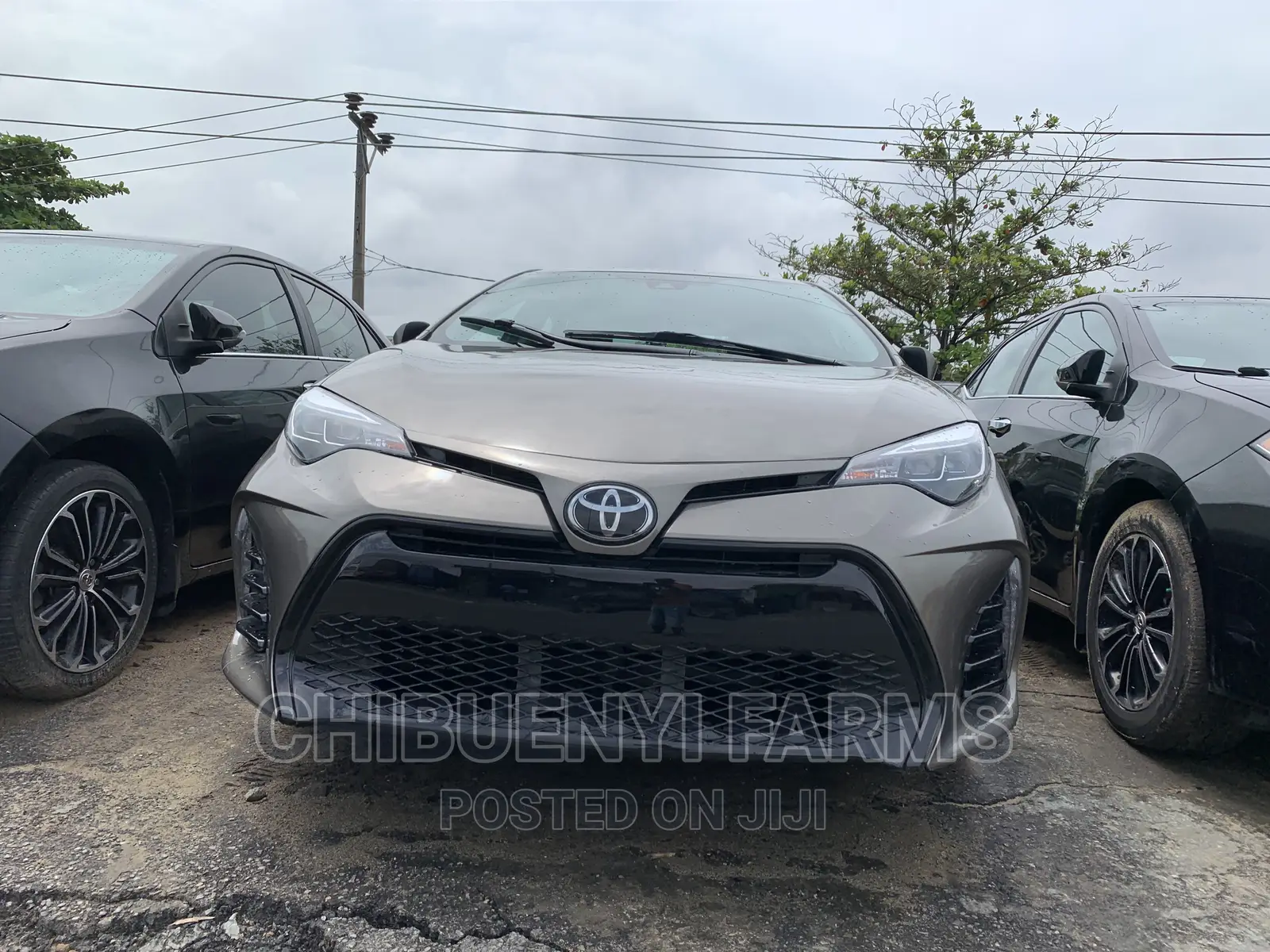 Toyota Corolla SE (1.8L 4cyl 6M) 2019 Brown