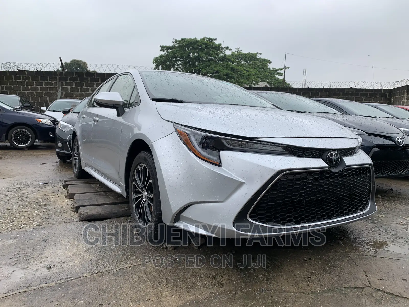 Toyota Corolla LE 2021 Silver
