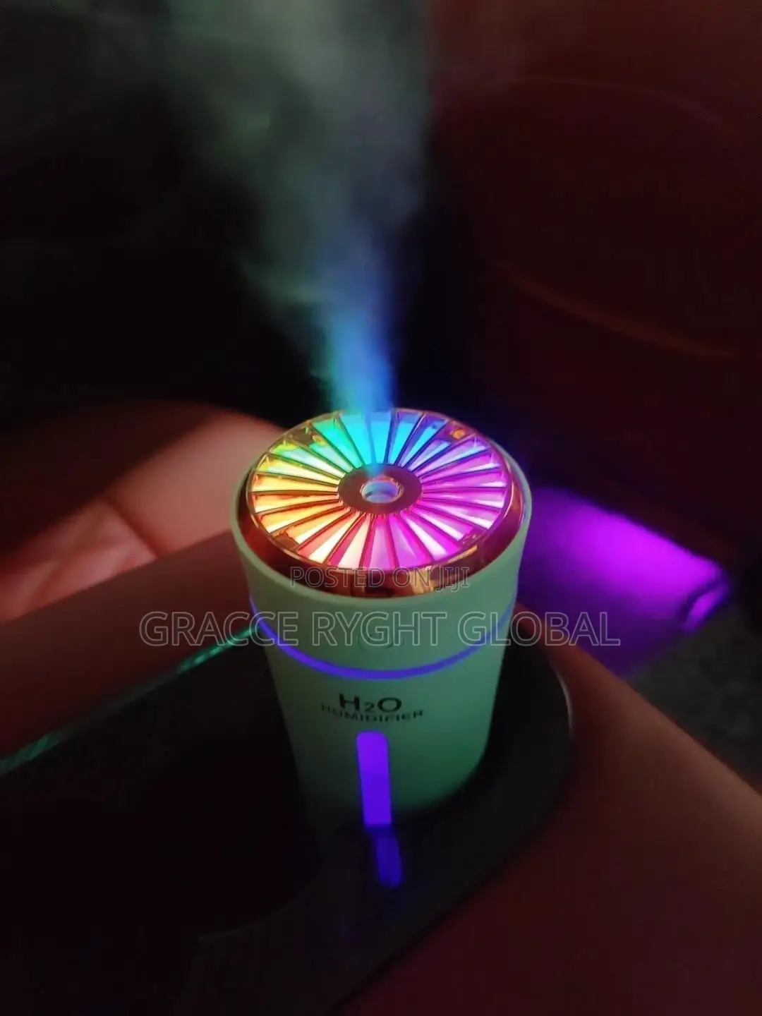 H2O Car/ Home Humidifier
