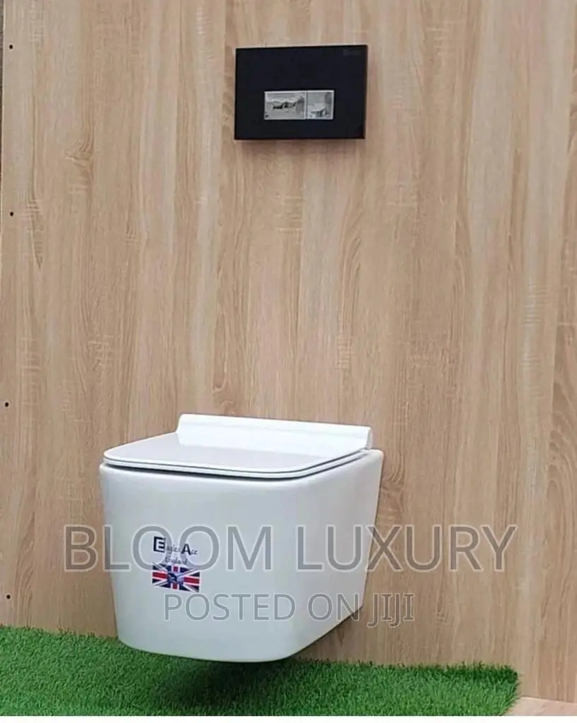 Conceal Wall Hung Toilet