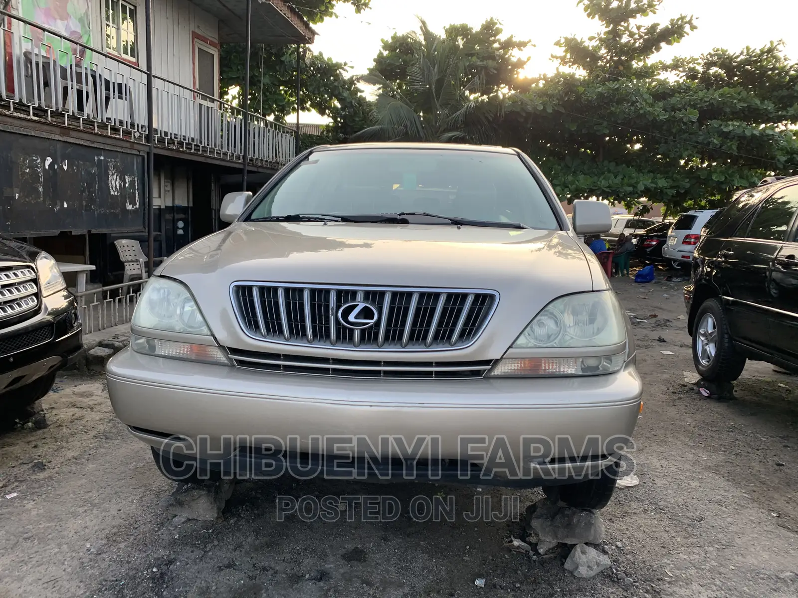 Lexus RX 300 4WD 2003 Gold