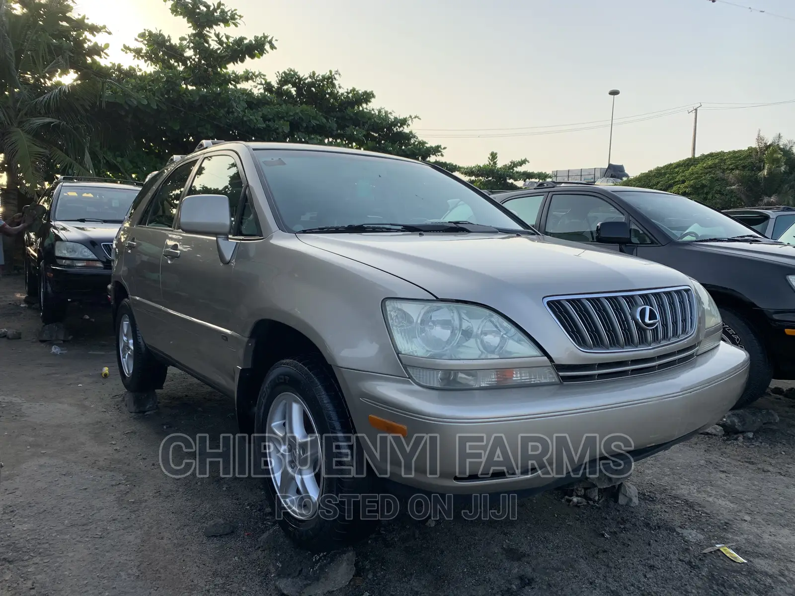 Lexus RX 300 4WD 2003 Gold