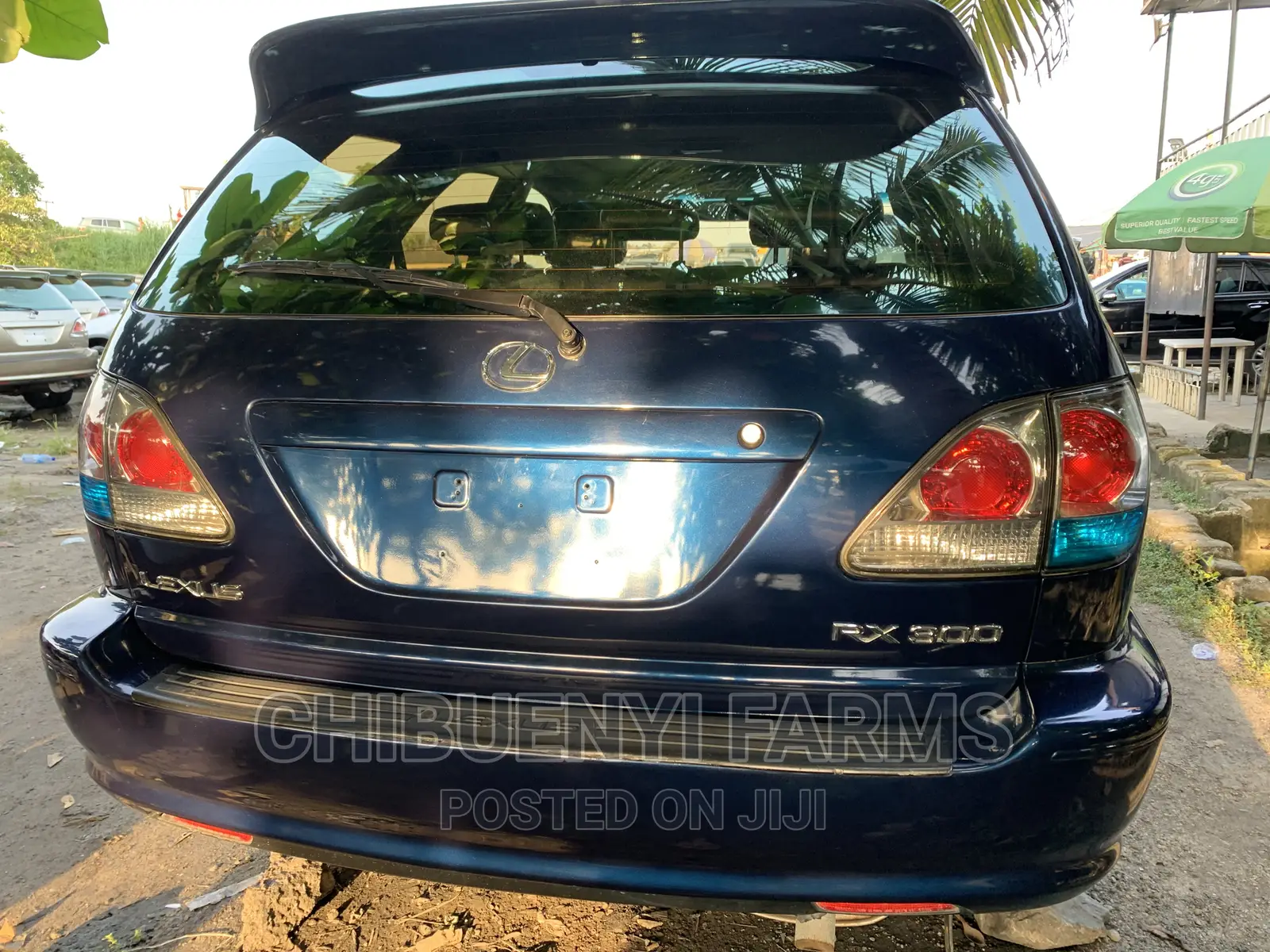 Lexus RX 2003 Blue