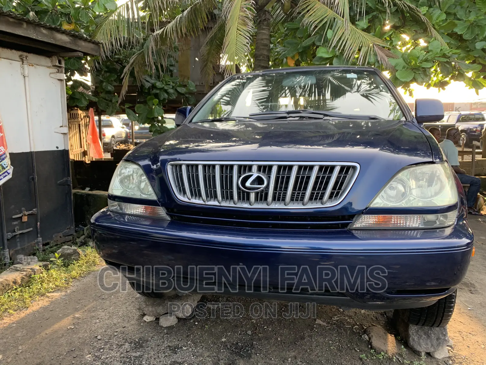 Lexus RX 2003 Blue