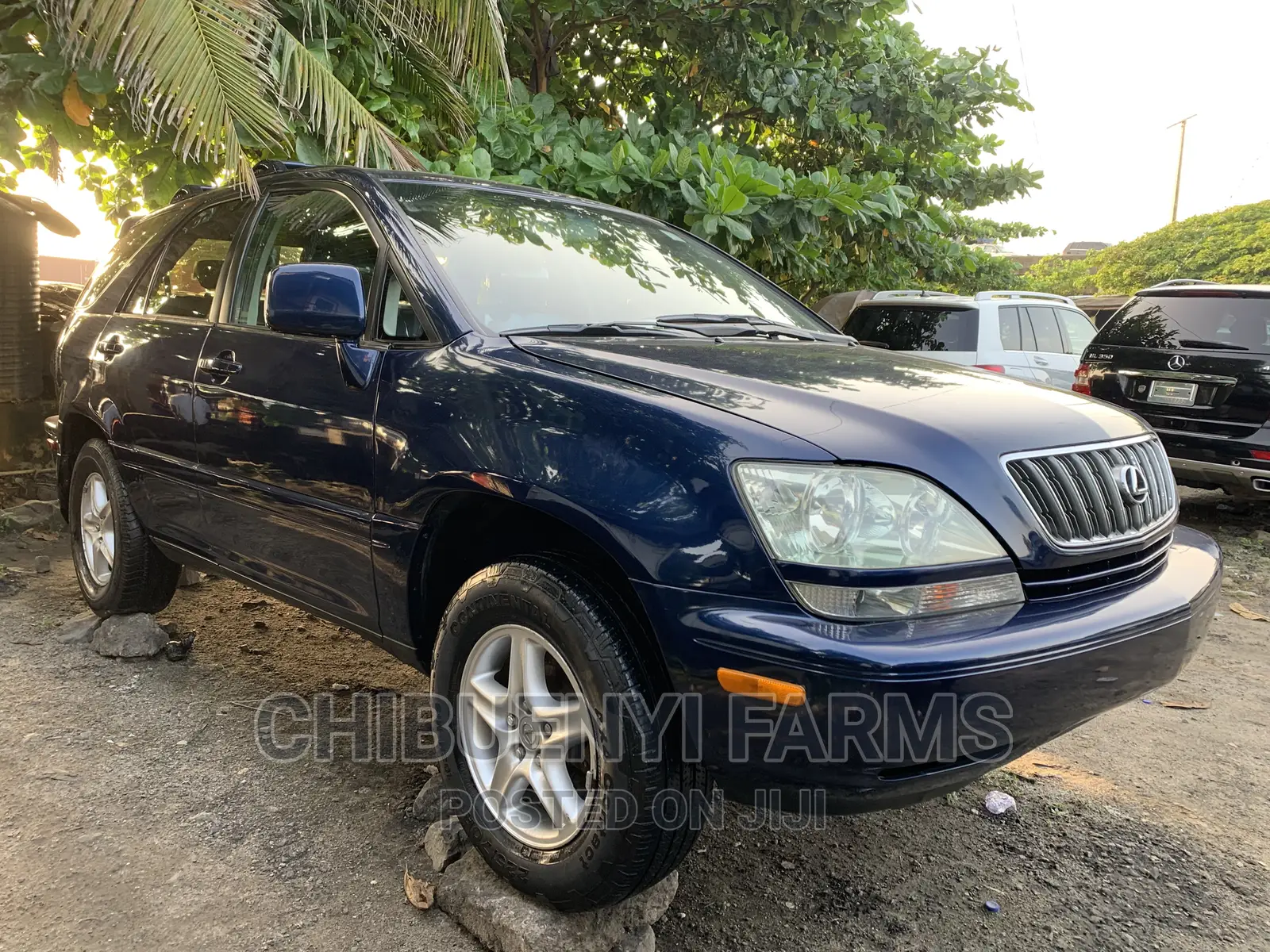 Lexus RX 2003 Blue