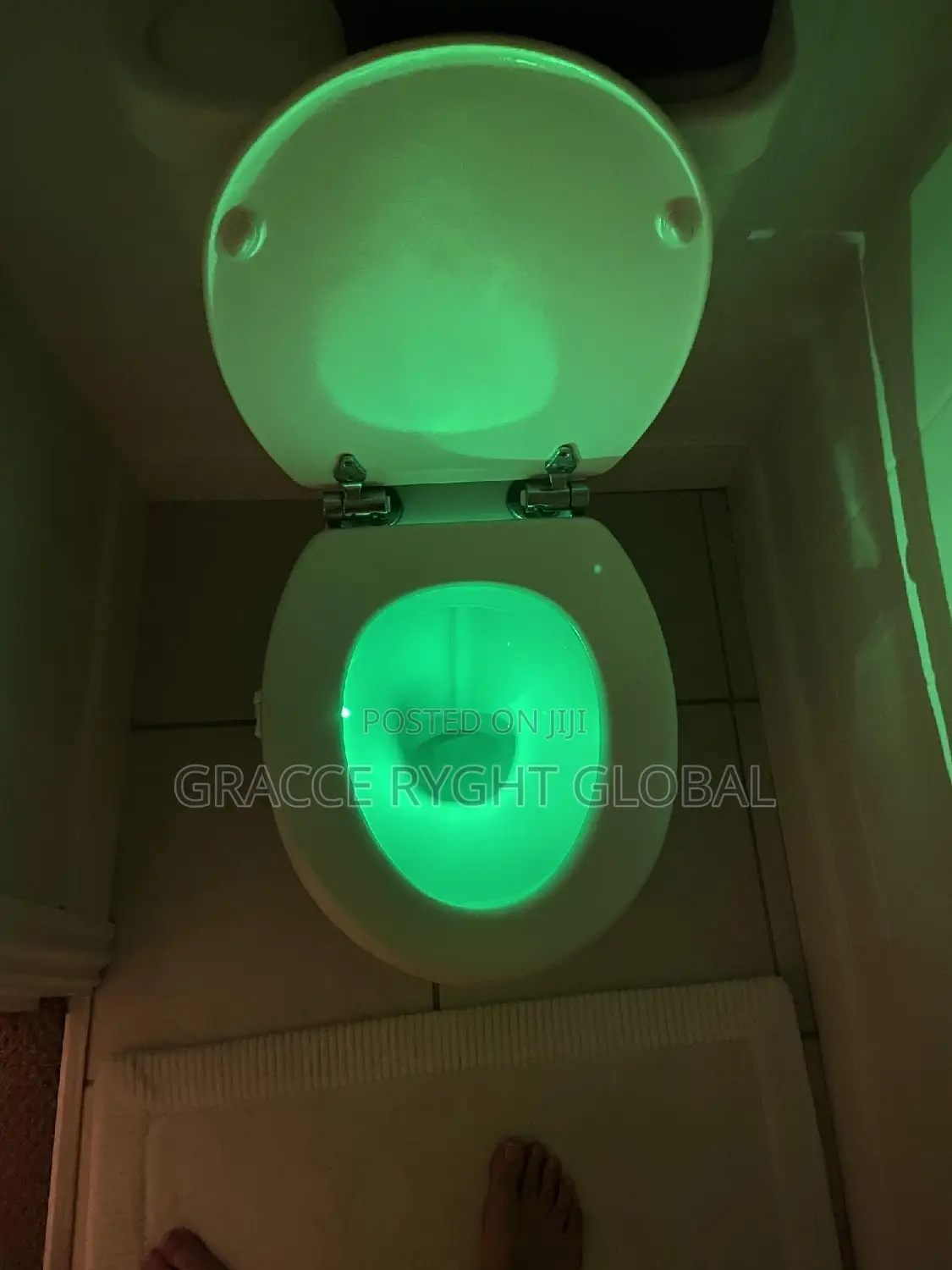 Toilet Bowl Night Light