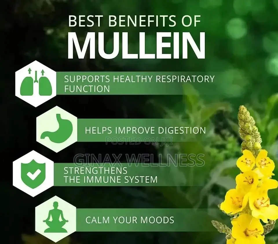 Mullein Capsules for Respiratory Health