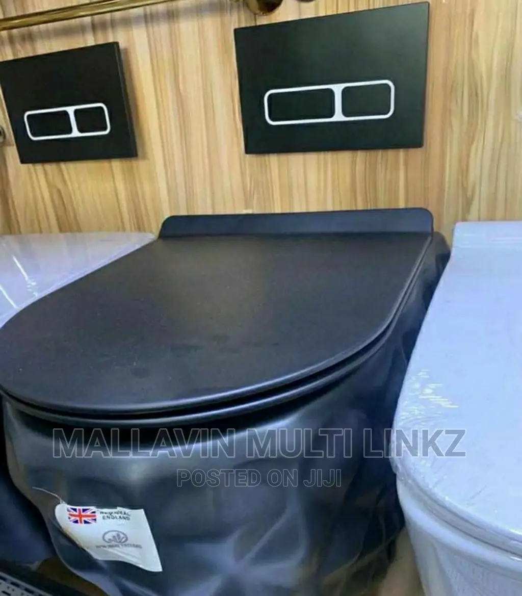Black Wall Hung Wc England Standard