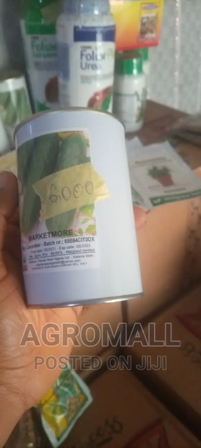 Hybrid Cucumber Seeds (Different Varieties)