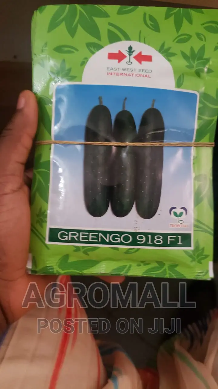 Hybrid Cucumber Seeds (Different Varieties)