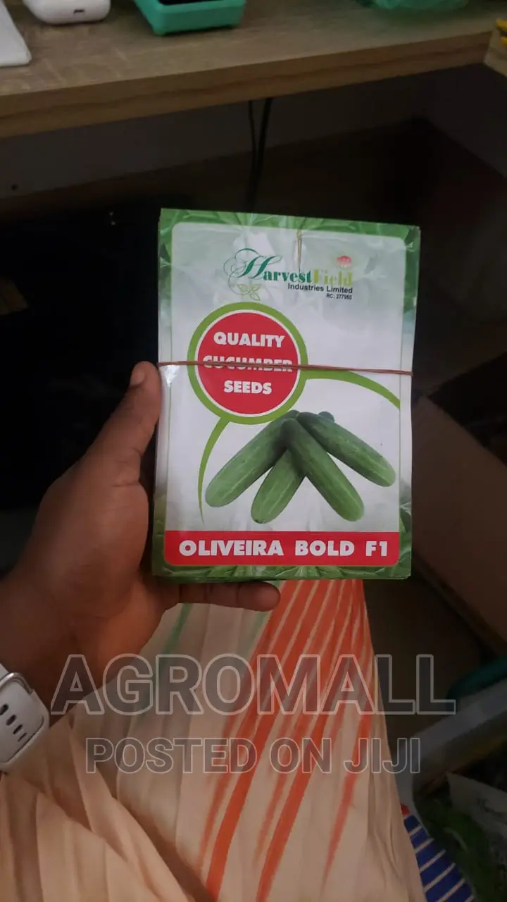 Hybrid Cucumber Seeds (Different Varieties)