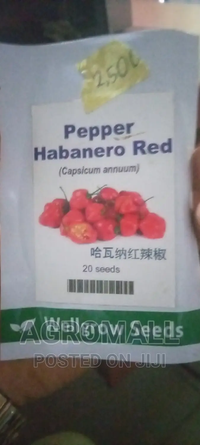 Habanero Hot Pepper