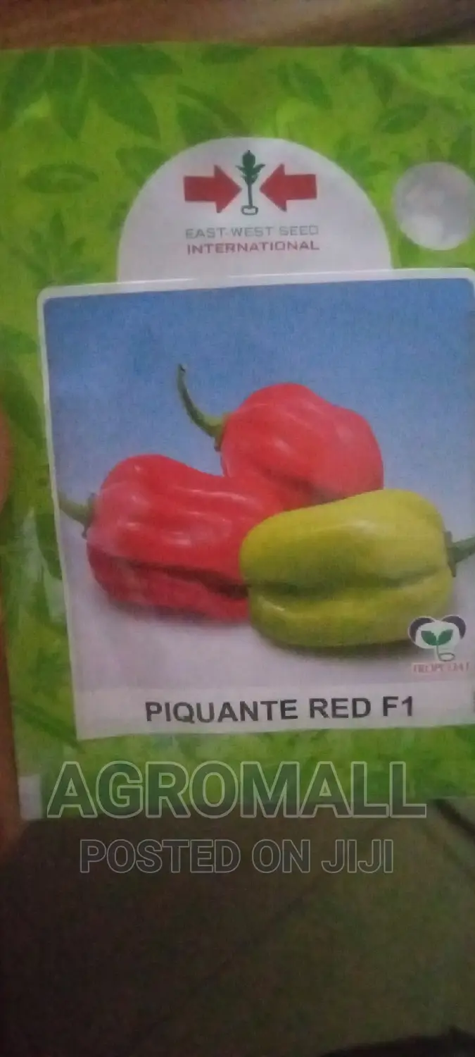 Habanero Hot Pepper