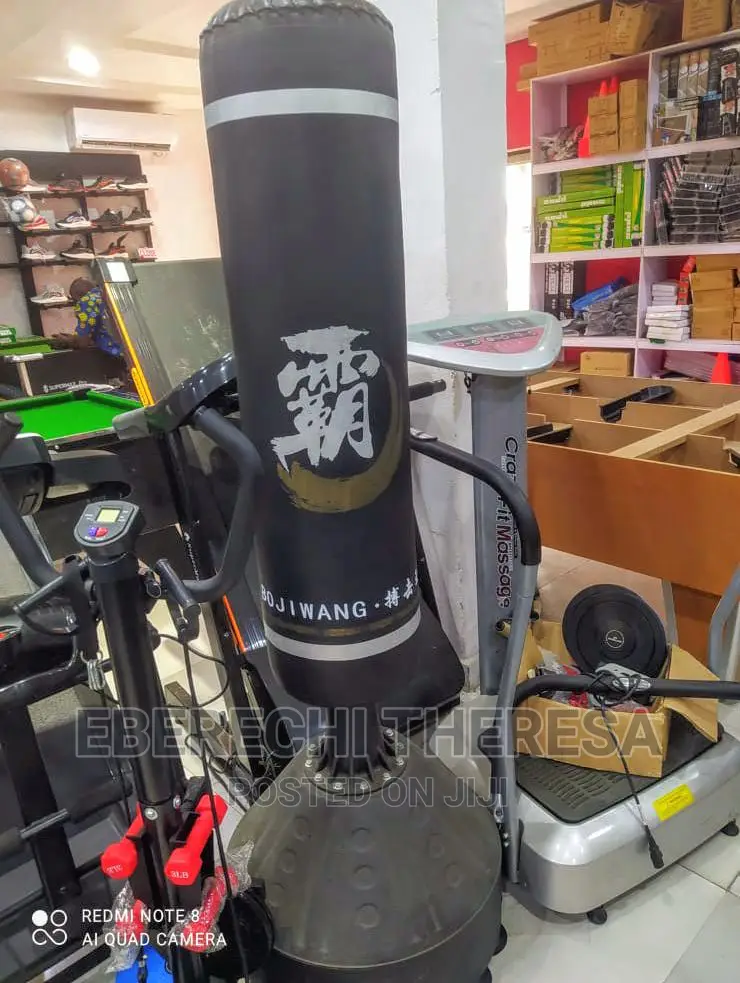 Standing Punching Bag
