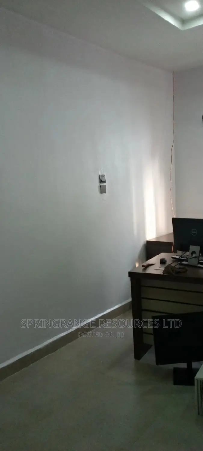 Exclusive Painting Services