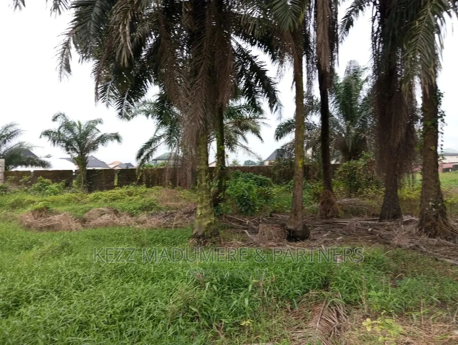 Land at Eneka Igboetche Road