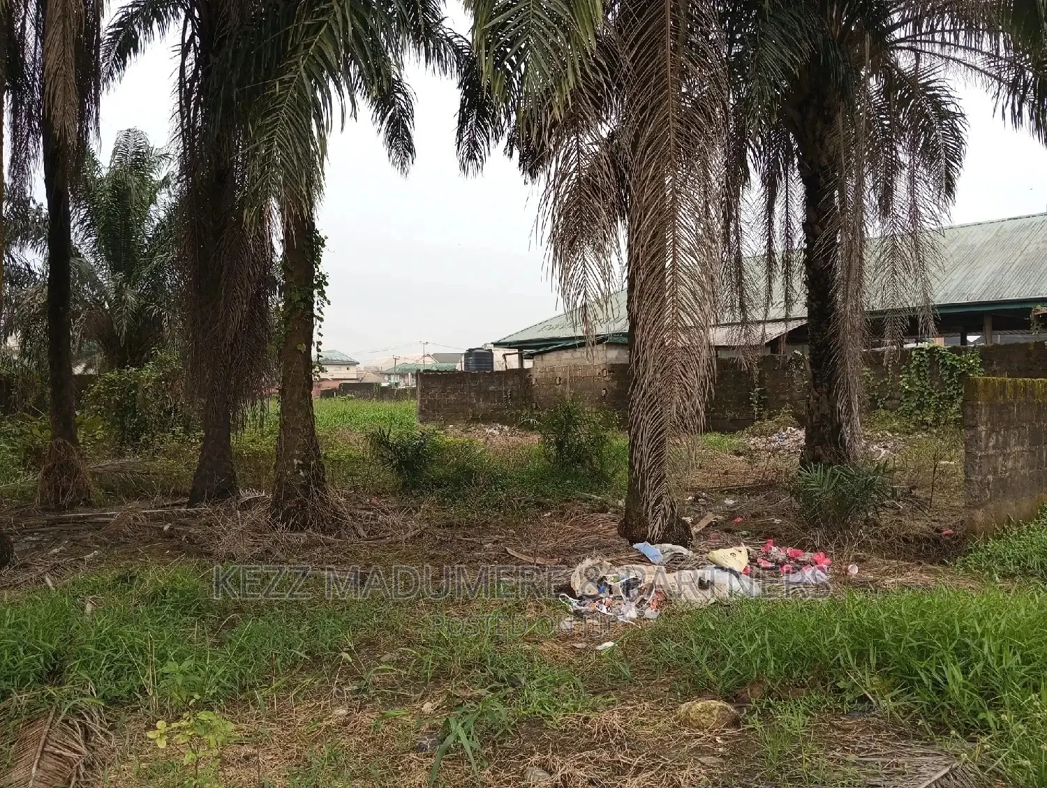 Land for Sale at Igwuruta