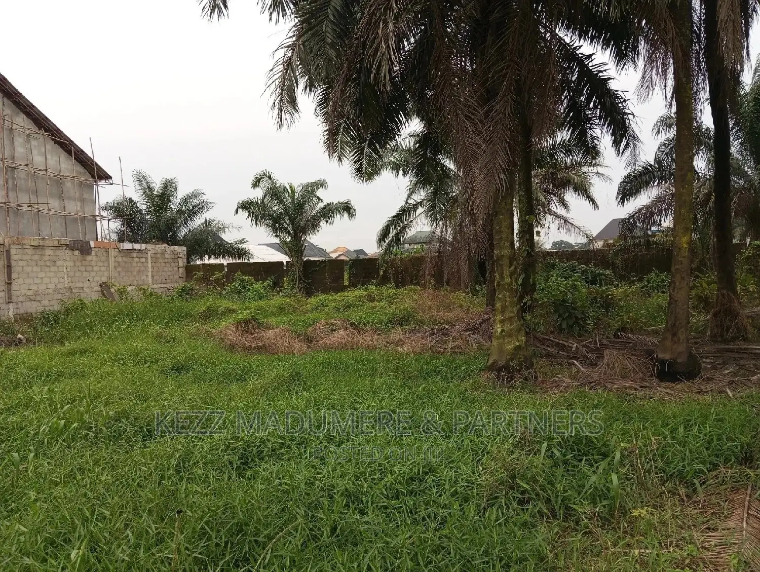 Land for Sale at Igwuruta