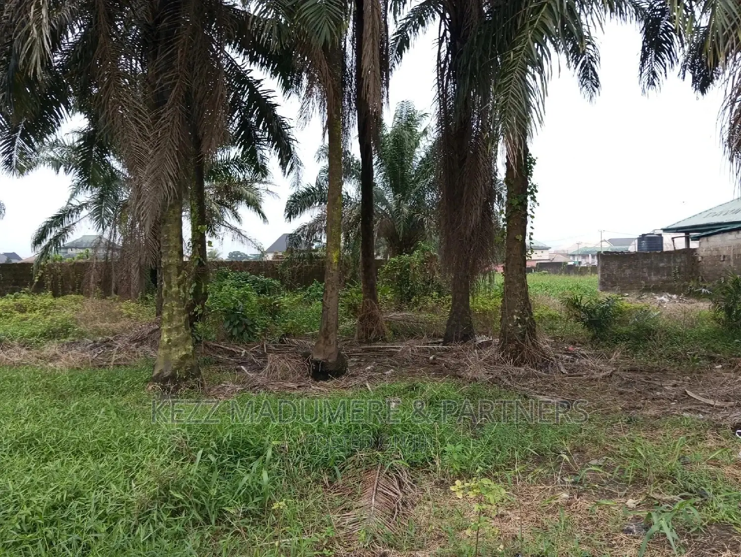 Land for Sale at Igwuruta