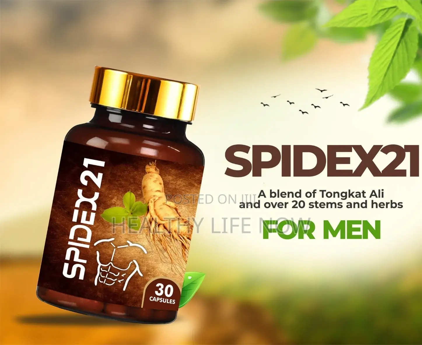 Order Your Spidex21 - For Wellness and Healthy Lifestyle