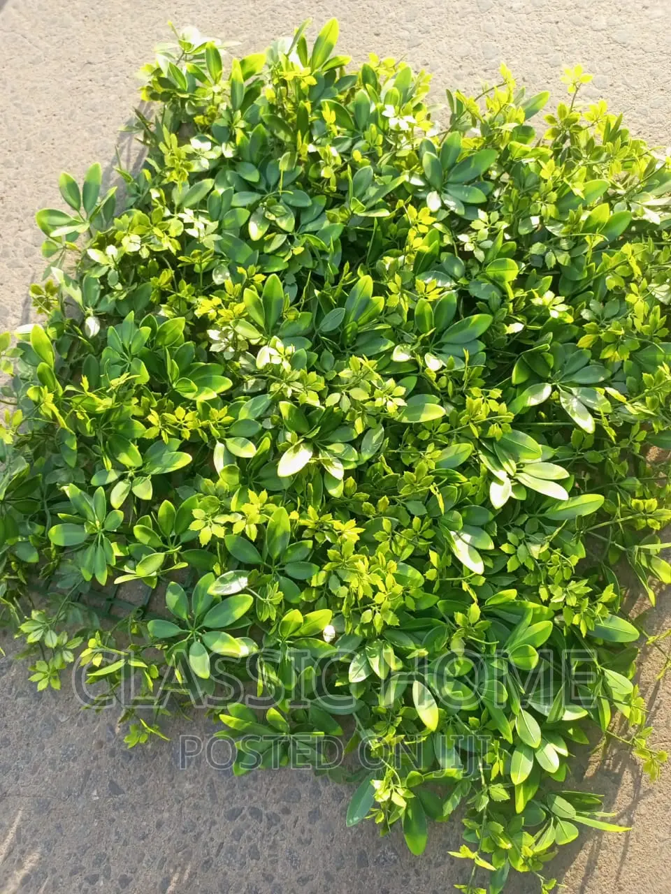 Turkish Standard Wall Decorating Flower