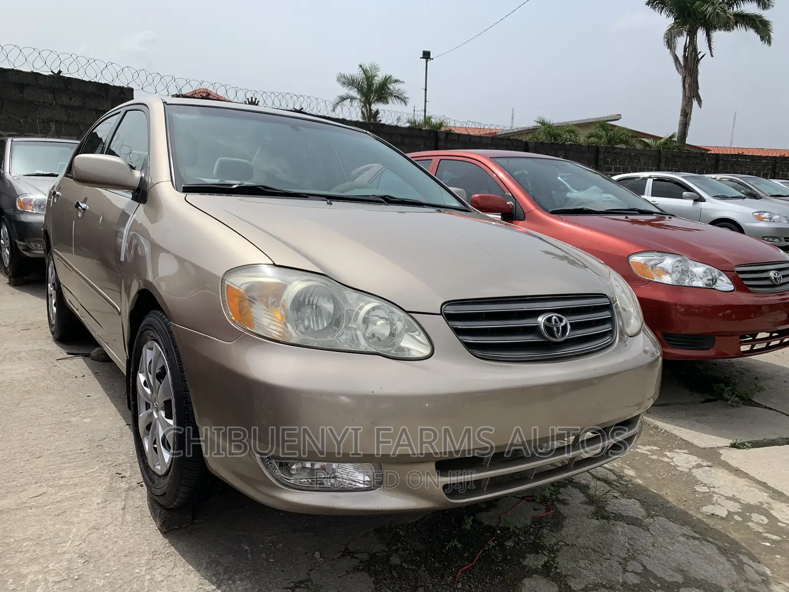 Toyota Corolla LE 2004 Gold