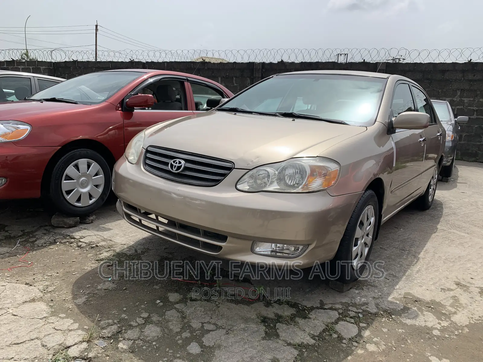 Toyota Corolla LE 2004 Gold