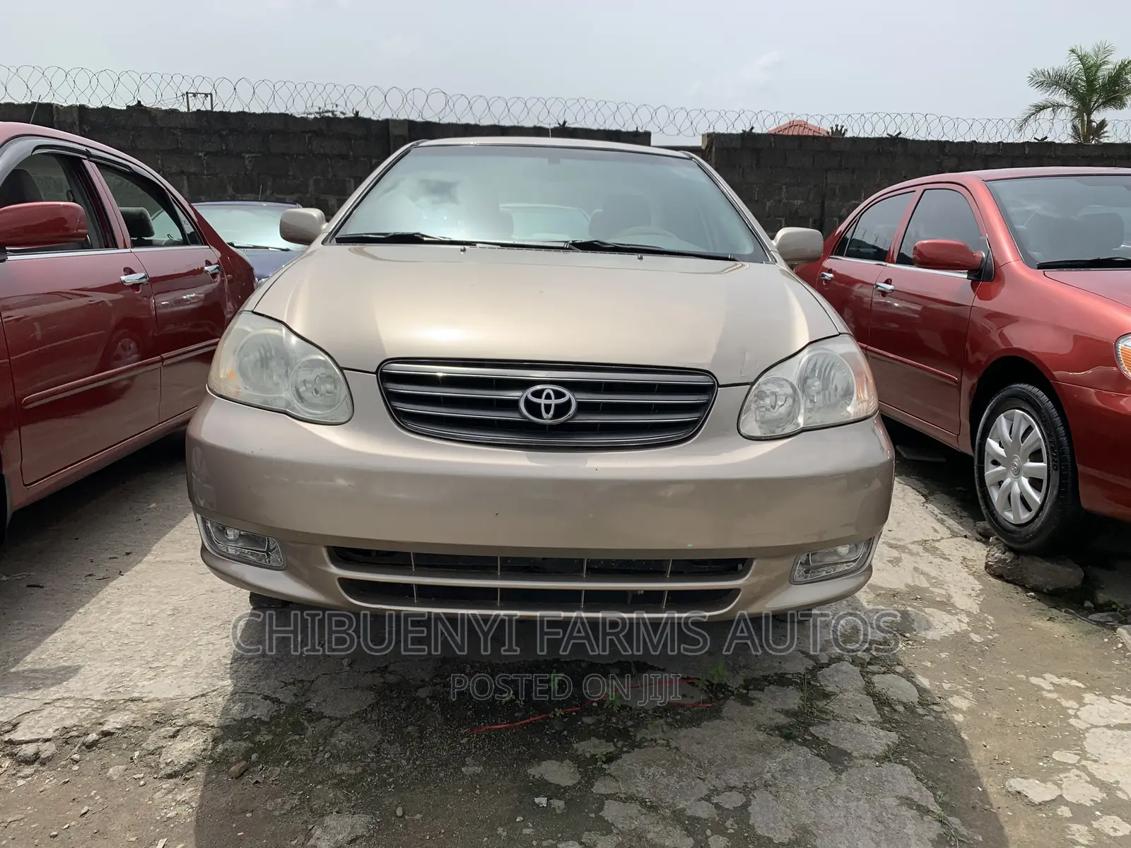 Toyota Corolla LE 2004 Gold