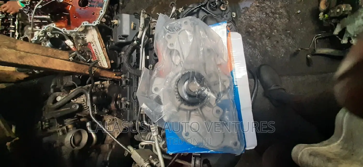 Water Pump Ford Edge 08/013