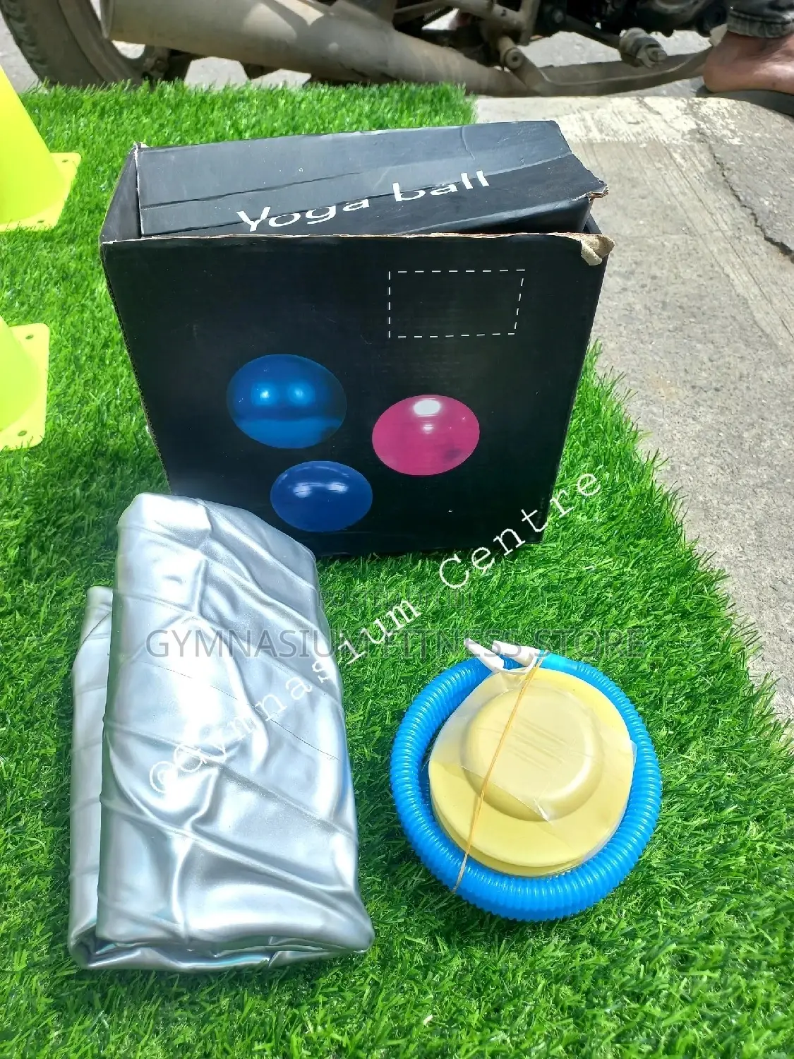 GYM Ball With Pump 65cm G5690