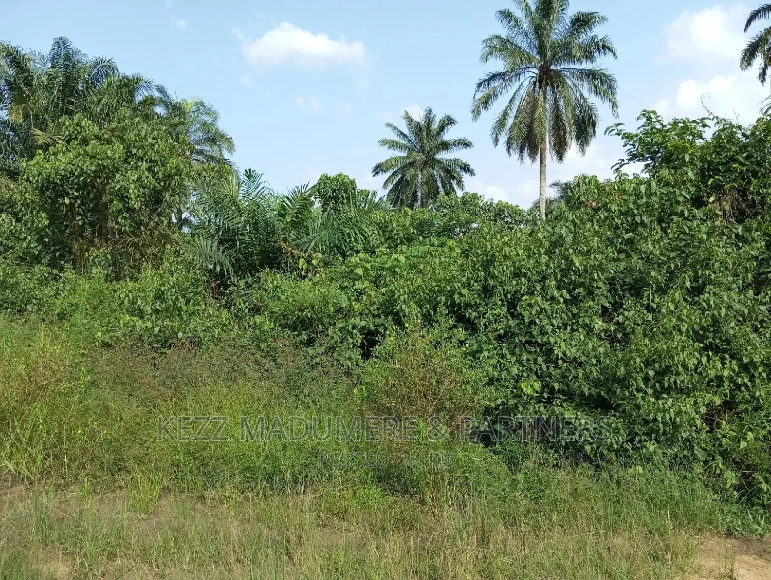 For Sale: 11 1⁄2 Plots at Back of County Grammar School