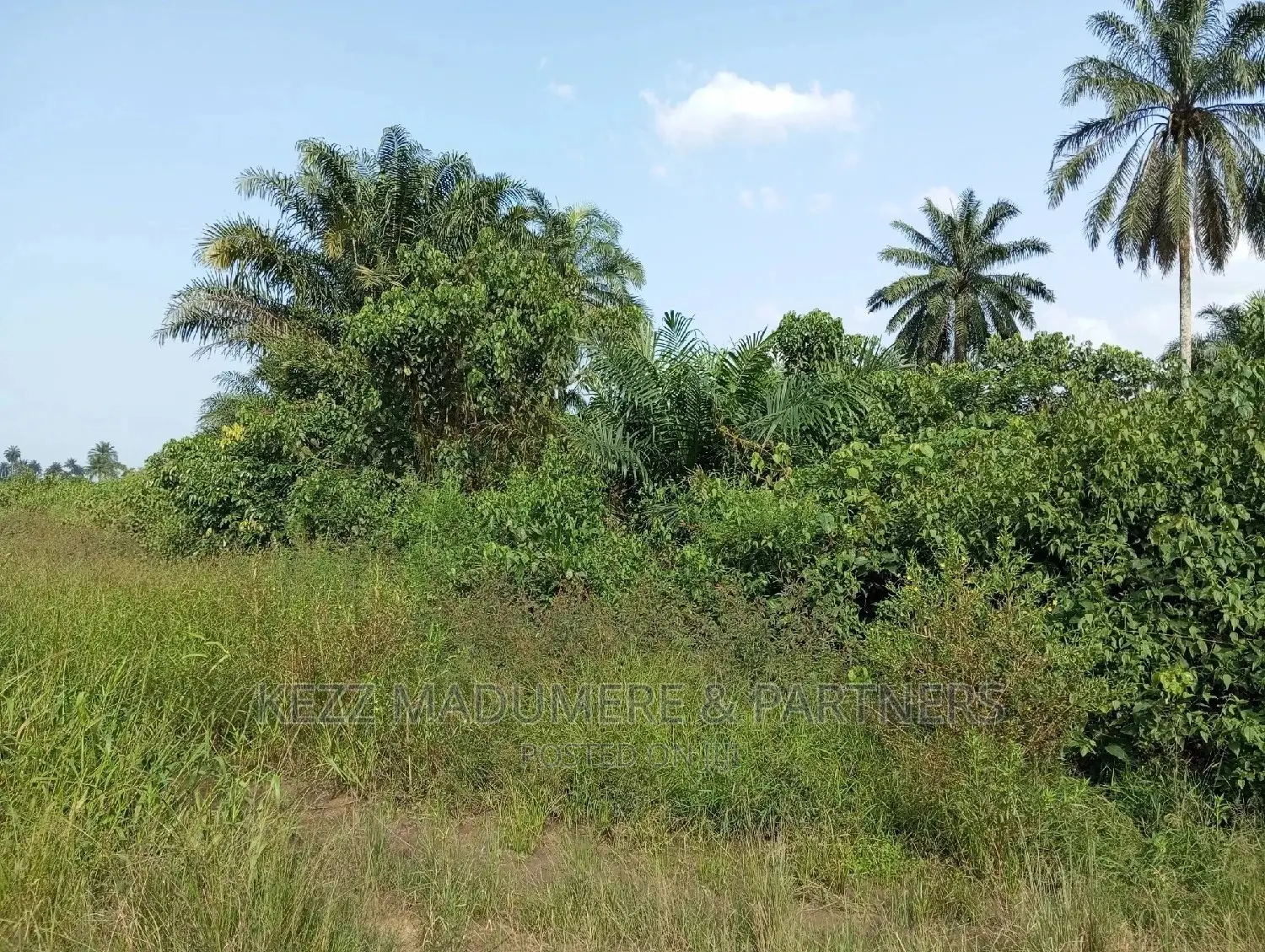 For Sale: 11 1⁄2 Plots at Back of County Grammar School