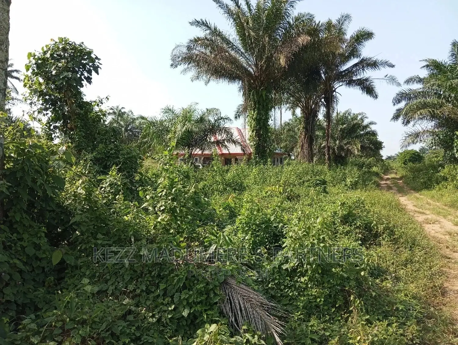 For Sale: 11 1⁄2 Plots at Back of County Grammar School