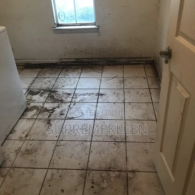 Professional Cleaners For Detailed Cleaning Service.