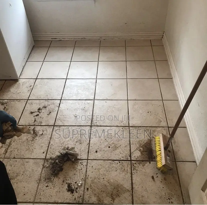 Professional Cleaners For Detailed Cleaning Service.