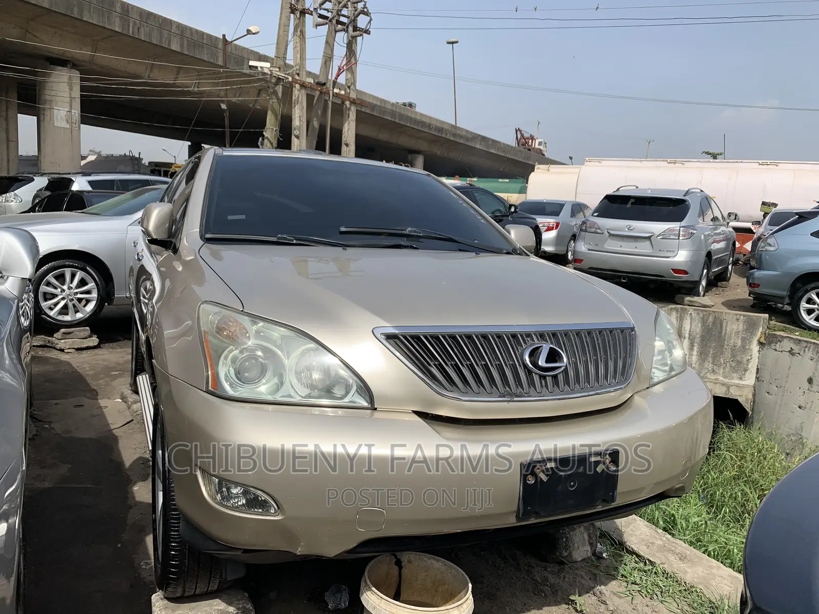 Lexus RX 330 2006 Gold
