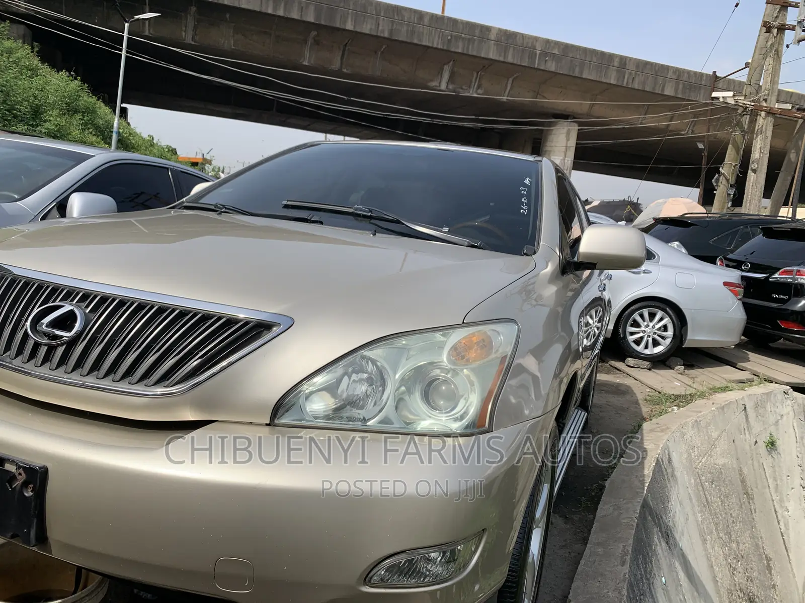 Lexus RX 330 2006 Gold