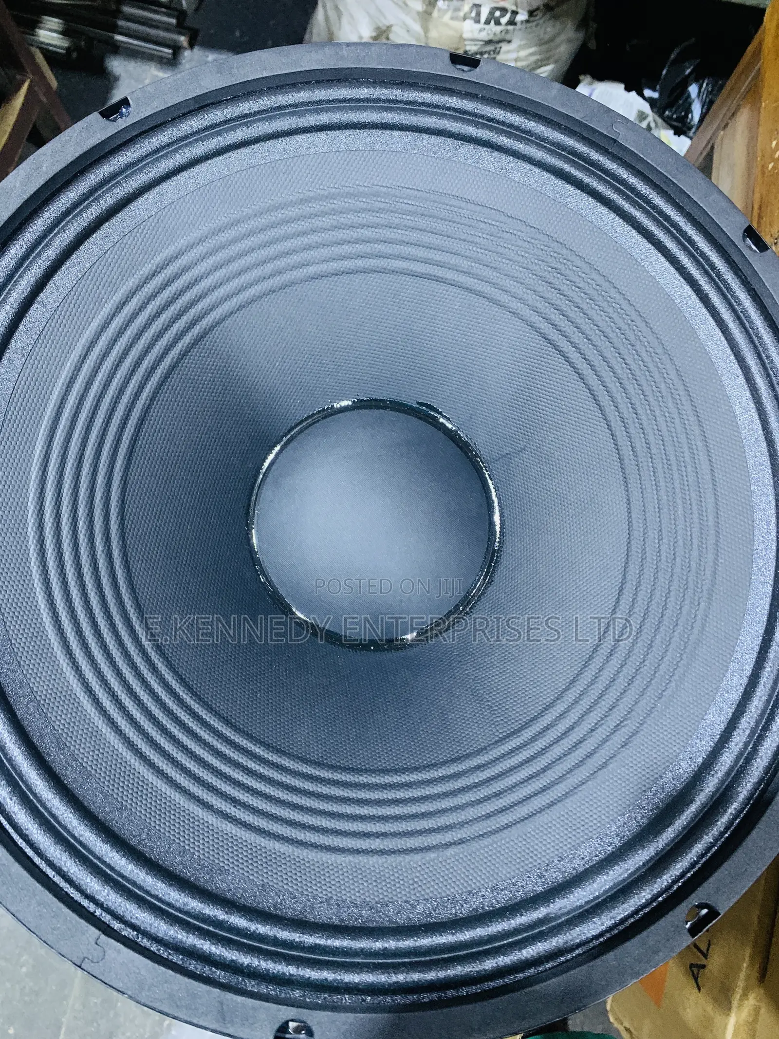1500w Professional 15 Inch Iron Body JBL Naked Speaker