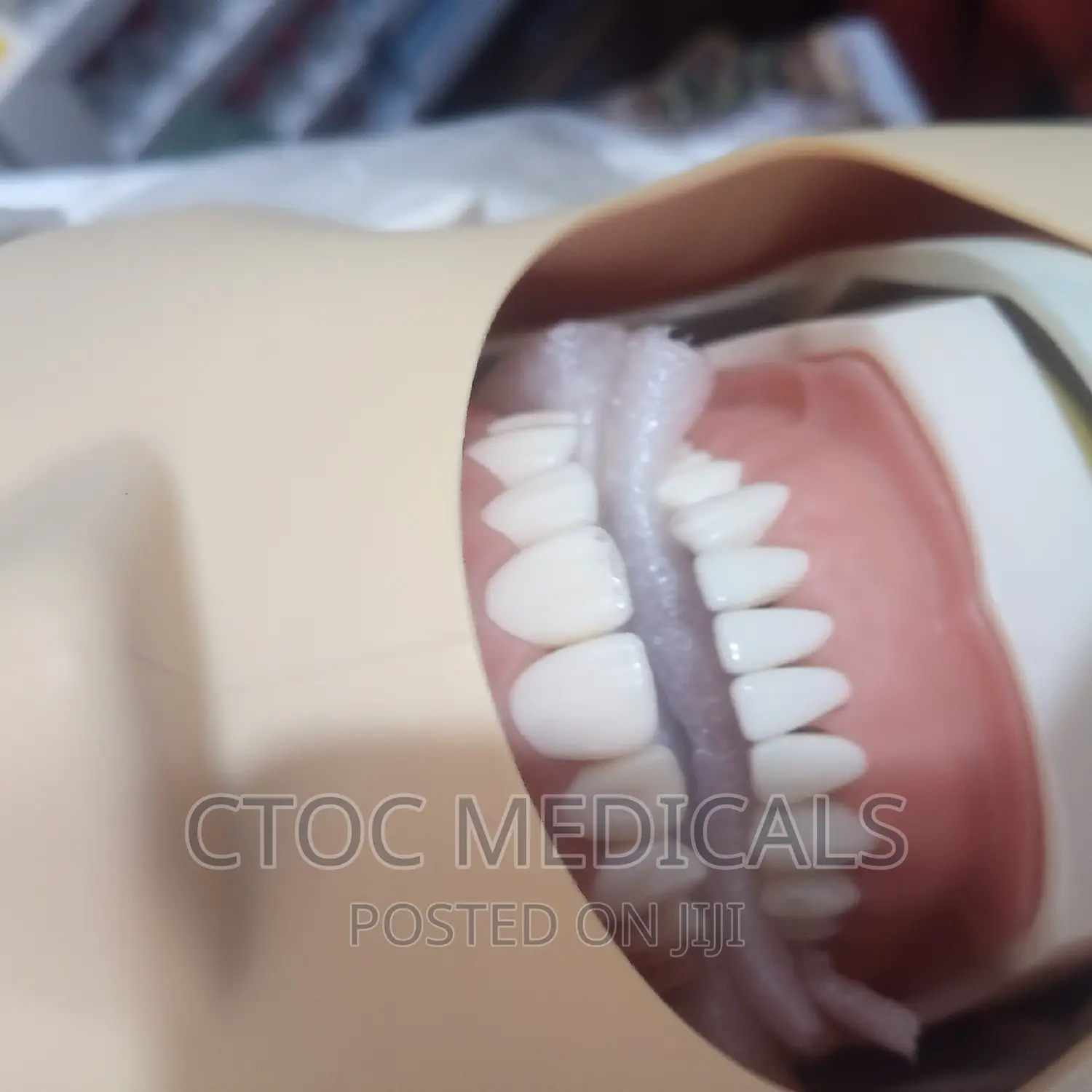 Phantom Head Dental